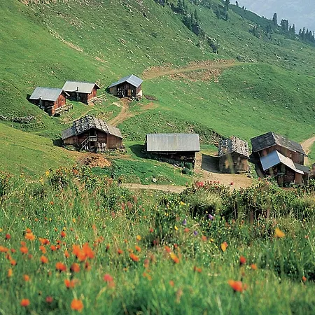 In Aschau Near Lift & Alps, Cleaning Included Haslach